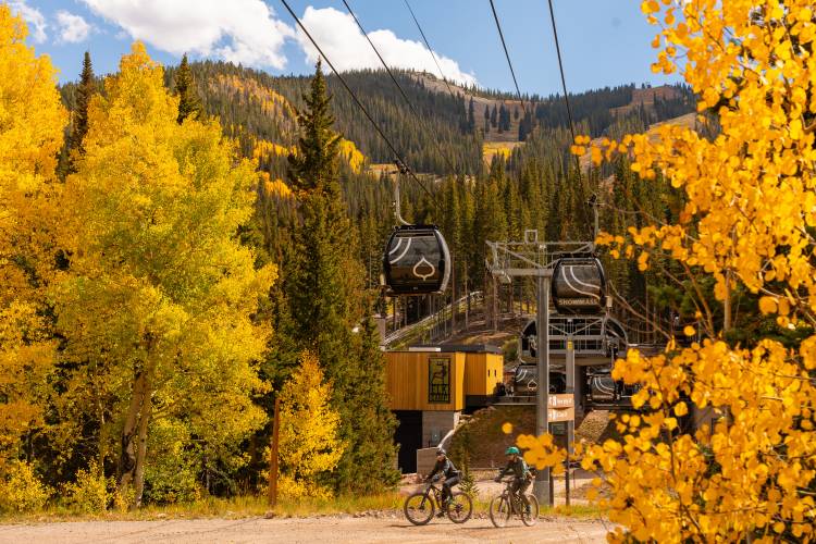 Mountain bikers riding a trail on Snowmass Mountain surrounded by gold aspen leaves in fall
